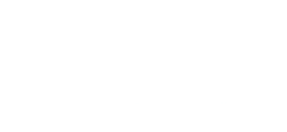 AS Inspection